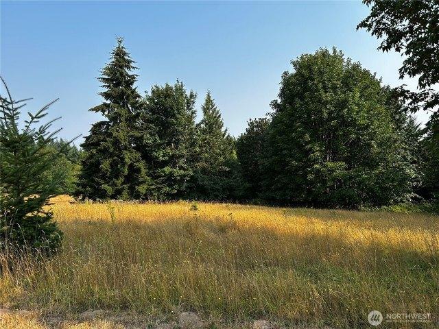 Land for sale in Thurston, Washington