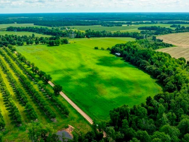 Farm for sale in Georgia