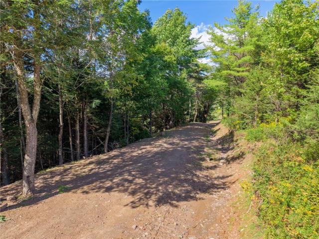 Land for sale in Broome Center, Town of Gilboa