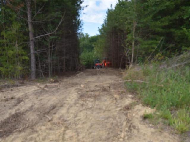 Land for sale in Blanch, North Carolina