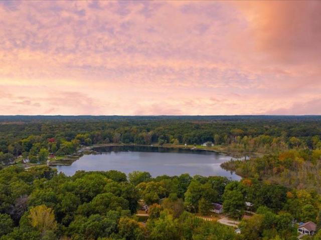 Land for sale in Pinckney