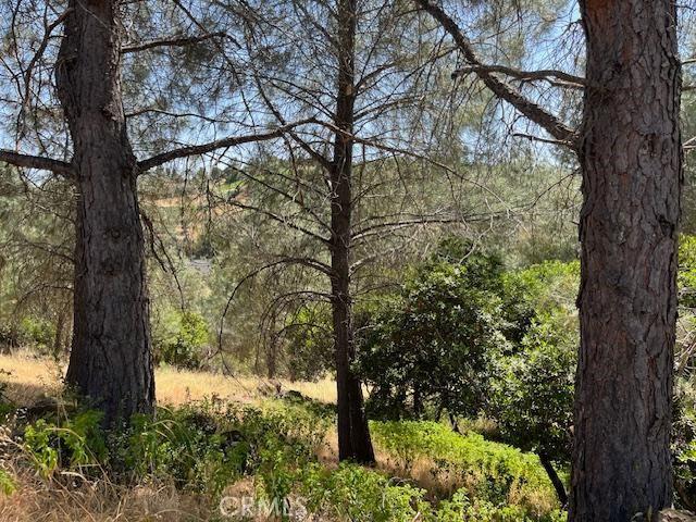 Land for sale in Lake, California