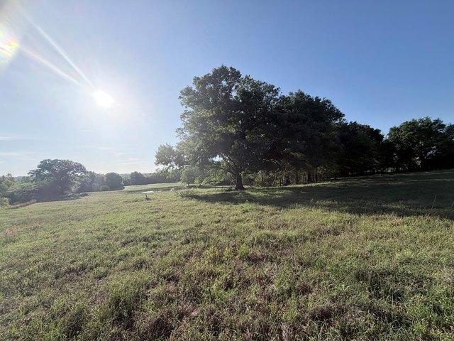 Land for sale in Brundidge, Alabama