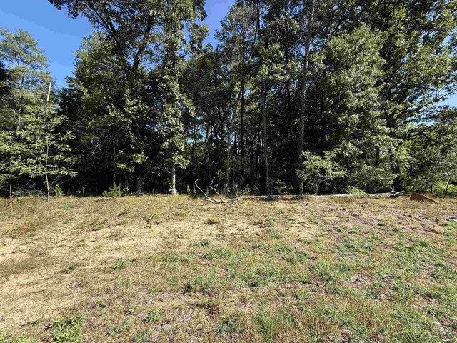 Land for sale in Stevens Point, Wisconsin