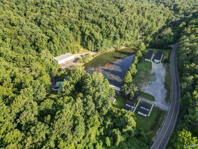 Commercial for sale in Guntersville, Alabama
