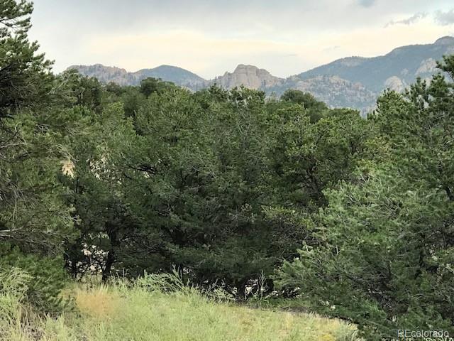 Land for sale in Nathrop, Chaffee County