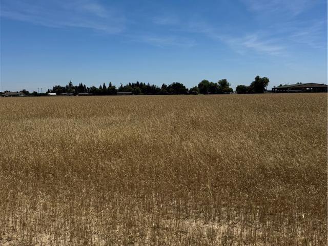 Land for sale in Atwater, California