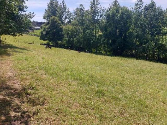 Property for sale in Langs Beach, Northland