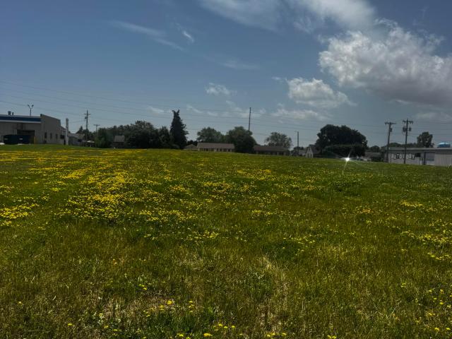 Land for sale in Sheboygan Falls, Wisconsin