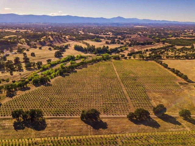 Land for sale in Red Bluff, California