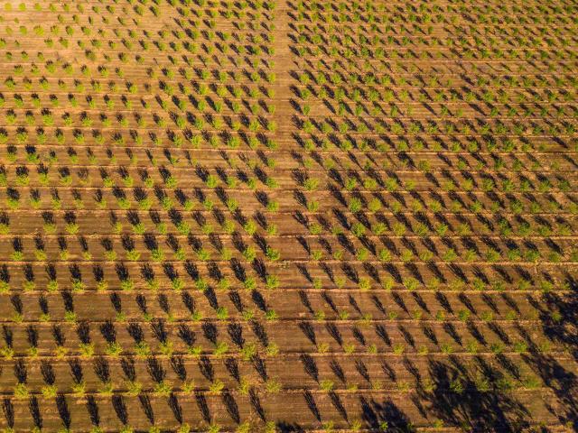 Land for sale in Red Bluff, Tehama County