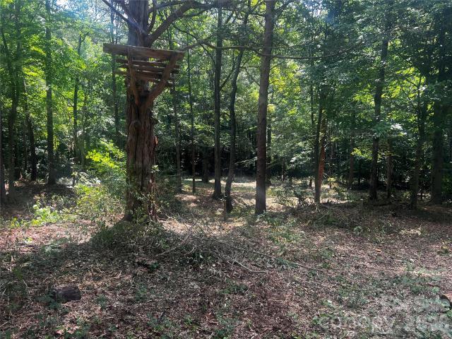 Land for sale in Davidson, North Carolina