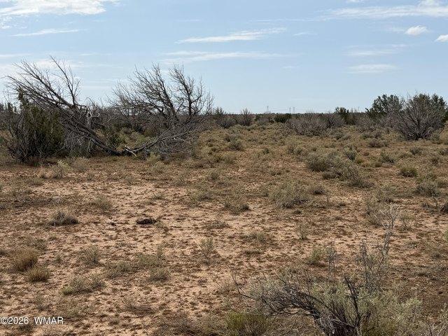 Land for sale in Navajo, Arizona