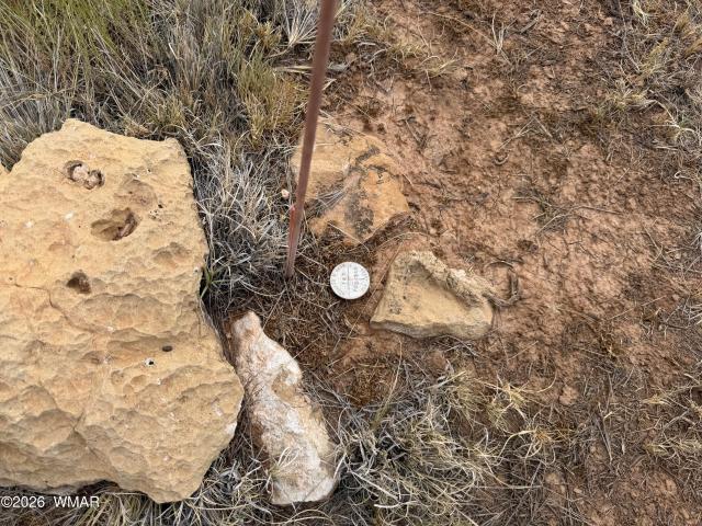 Land for sale in Navajo, Arizona