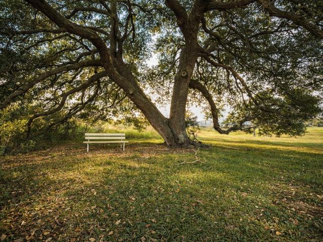 House for sale in Wharton, Texas