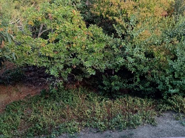 Room for rent in Solano, California