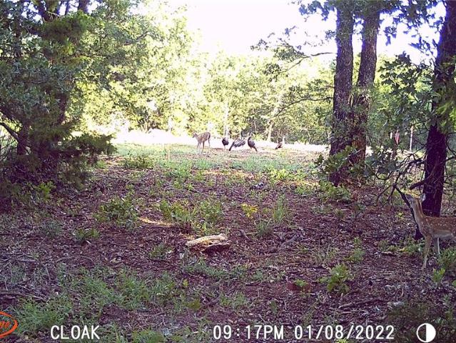 Land for sale in Dibble, Oklahoma