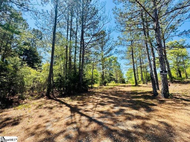 Land for sale in Mount Gallagher, Ware Shoals