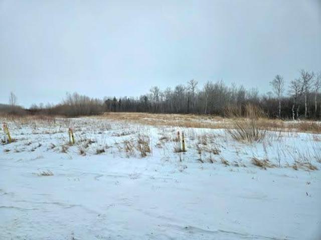 Land for sale in Pennington, Minnesota