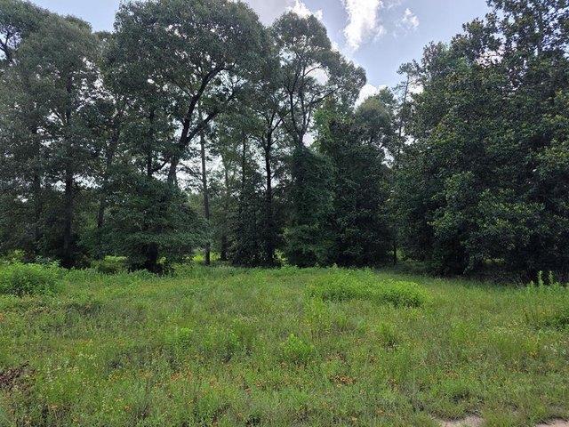 Land for sale in Jasper, Texas