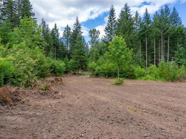Land for sale in Carson, Washington