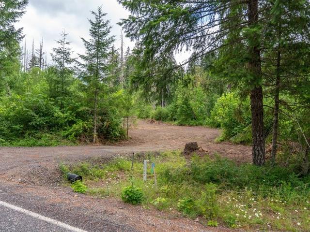 Land for sale in Carson, Washington