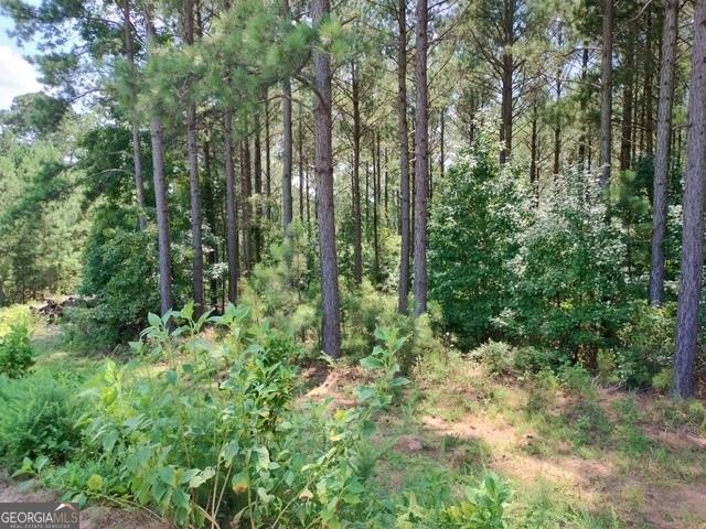 Land for sale in Tignall, Georgia
