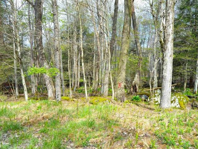 Land for sale in Terra Alta, West Virginia