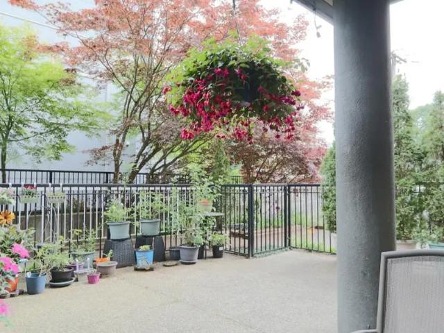 Apartment for rent in Port Coquitlam