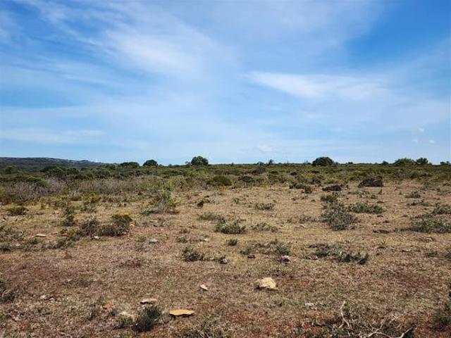 Land for sale in Cape St Francis, Eastern Cape