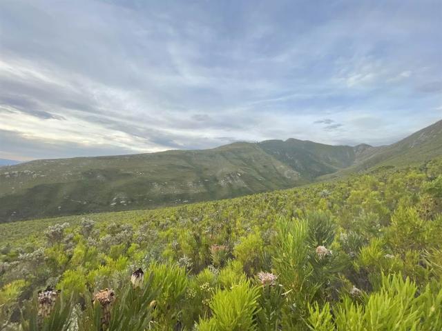Farm for sale in Joubertina, Eastern Cape