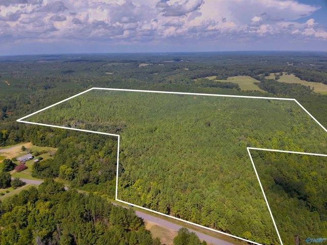 Land for sale in Double Springs, Winston County