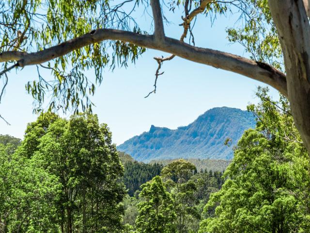 Cottage for sale in Barkers Vale, New South Wales