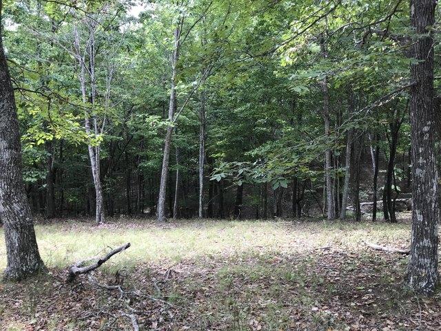 Land for sale in Dunlap, Middle Tennessee