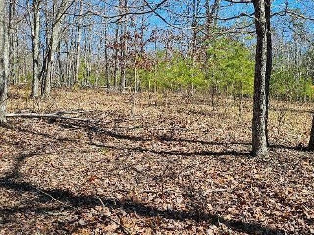 Land for sale in Dunlap, Middle Tennessee