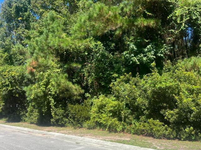 Land for sale in Morehead City, Carteret County