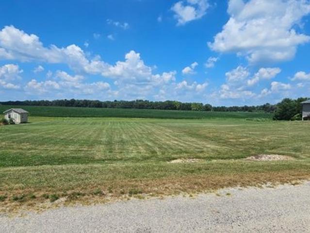 Land for sale in Williamsfield, Illinois