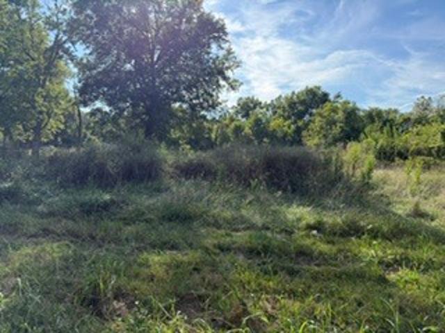 Land for sale in Carterville, Williamson County