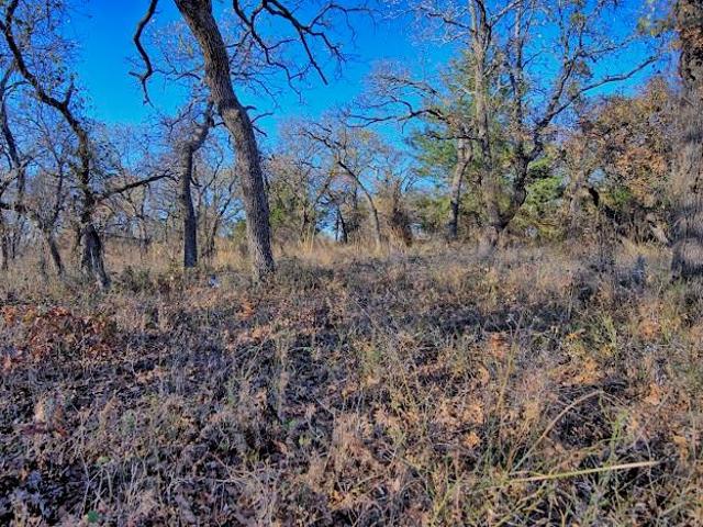 Land for sale in Nocona, Montague County