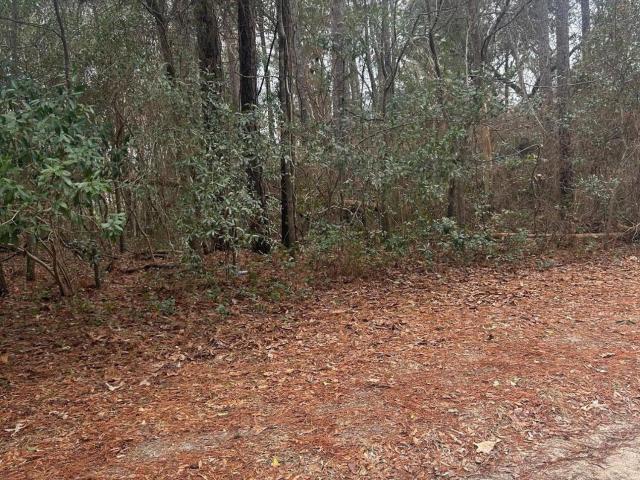 Land for sale in Sneads Ferry, North Carolina