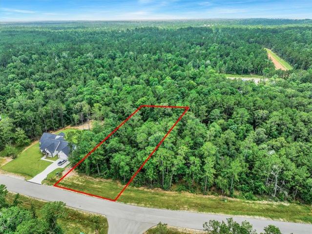 Land for sale in Willis, Texas