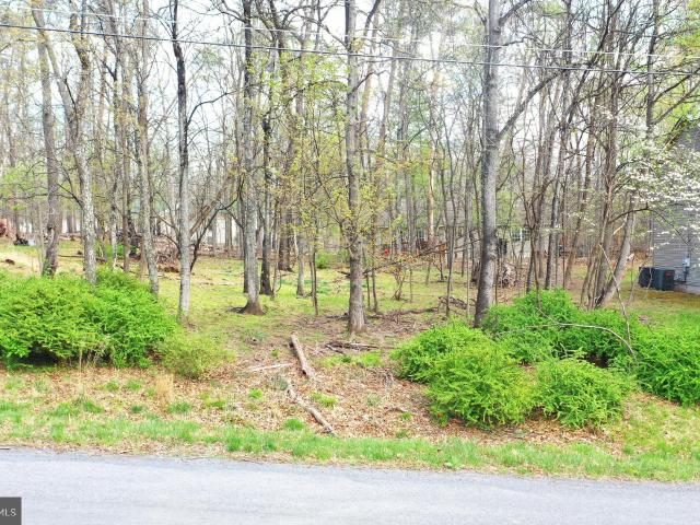 Land for sale in Virginia
