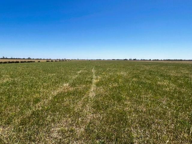 Cottage for sale in Kerang, Victoria