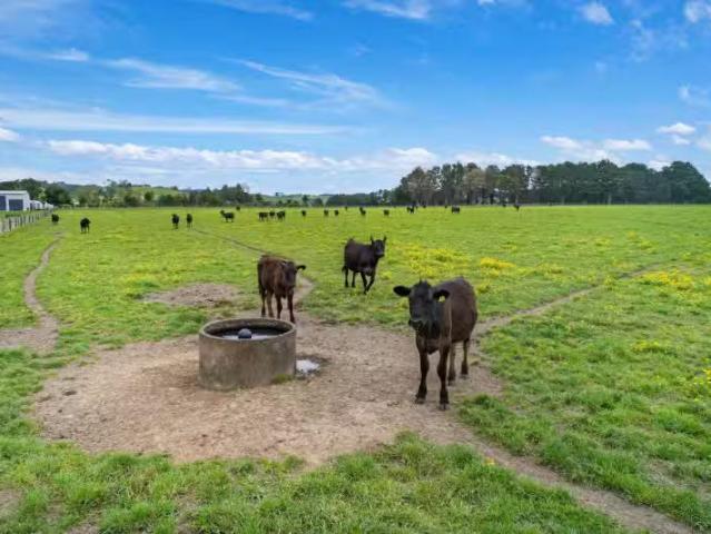 House for sale in Whangarei, Northland