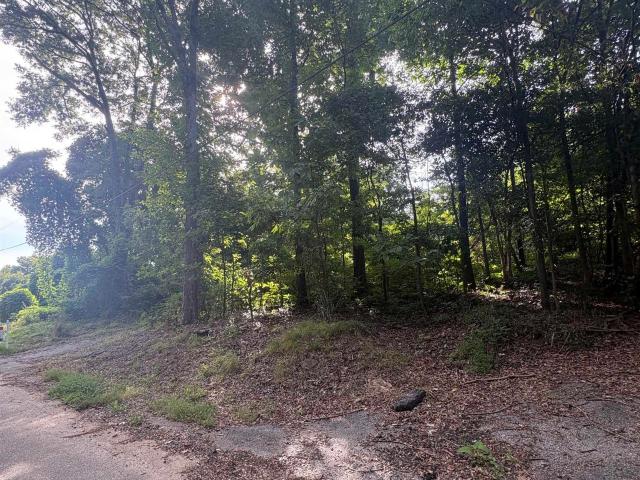 Land for sale in Laurens, South Carolina