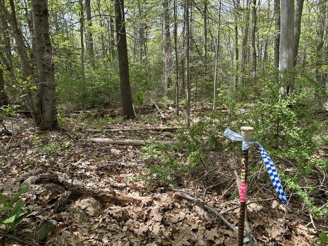 Land for sale in Waldoboro, Maine