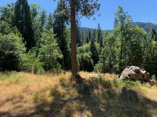 Land for sale in Sierra City, California