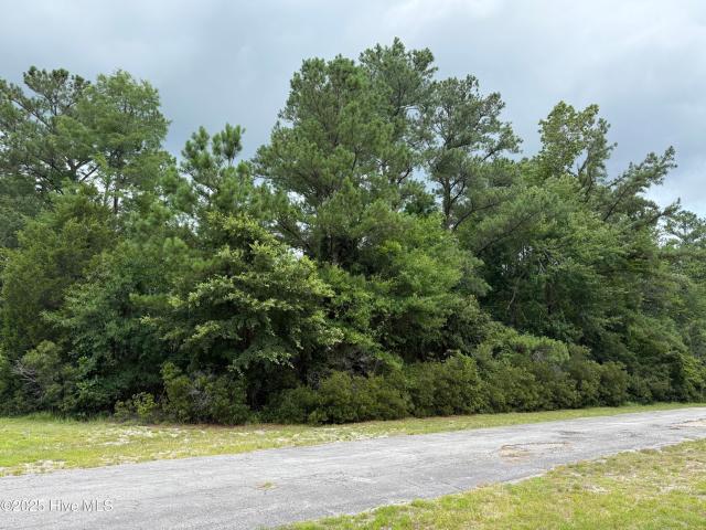 Land for sale in New Bern, North Carolina