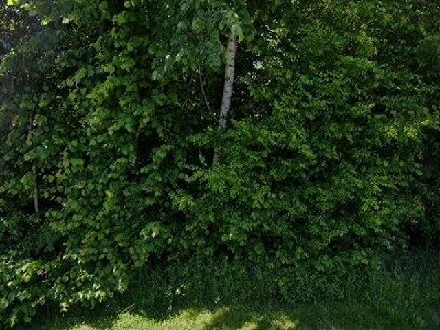 Lejlighed til leje i Kolding