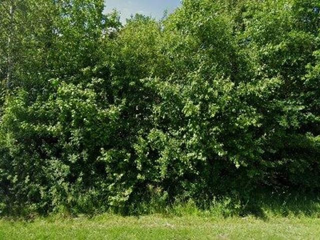 Lejlighed til leje i Kolding